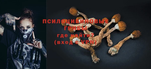 ешки Михайлов
