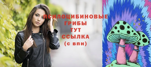 ешки Михайлов