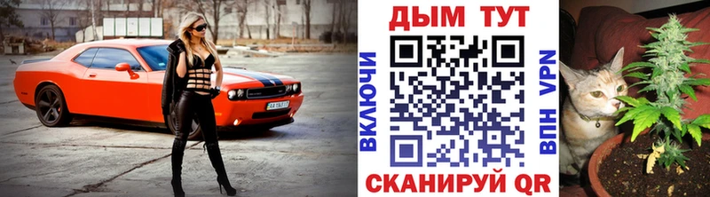 Марихуана сатива  купить наркотики сайты  ОМГ ОМГ рабочий сайт  даркнет состав  Орлов 